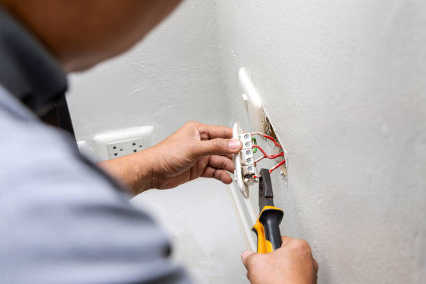 Best Home Electrical Repair  in Lake Andes, SD